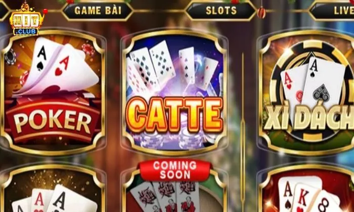 Catte Hitclub Gục tùng là một luật quen thuộc trong Catte